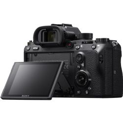 Sony Alpha a9 Mirrorless Digital Camera