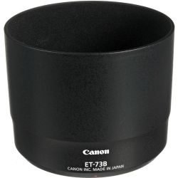 Canon EF 70-300mm f/4-5.6L IS USM Lens