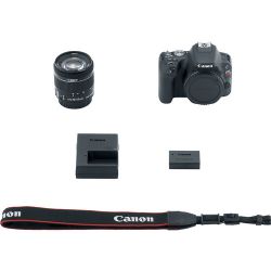 Canon EOS Rebel SL3/250D DSLR Camera with 18-55mm Lens (Black)