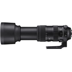 Sigma 60-600mm f/4.5-6.3 DG OS HSM Sports Lens for Nikon F