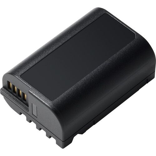Lithium DMW-BLK22 Extended Rechargeable Battery (2000Mah)